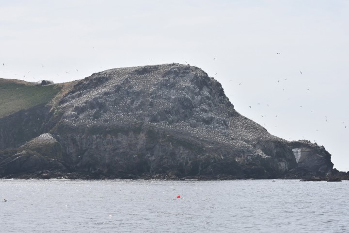 Côte de granit rose